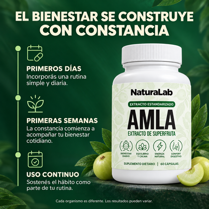 AMLA® – Más energía, menos hinchazón y una mente más clara.